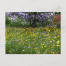 Suche nach hütte postkarten Wildblumen