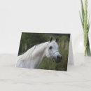 Suche nach arabische sprache postkarten Kopfschuss