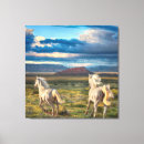 Suche nach wildes pferd leinwandbilder Wildpferd