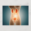 Suche nach anatomie postkarten Menschlicher körper