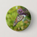 Suche nach lila schmetterling buttons Jede person