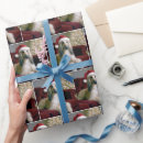 Suche nach afghanisch geschenkpapier Jede person