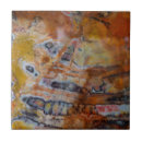 Suche nach versteinert fliesen Fossil