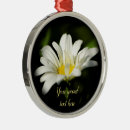 Suche nach daisy ornamente Blüte