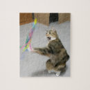 Suche nach katzenartig puzzle Kätzchen