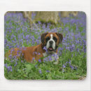Suche nach pam mousepads Foto