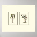 Suche nach gerahmtes poster Palmen