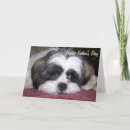 Suche nach shih tzu waren karten Papa