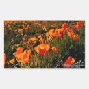 Suche nach blumenbild aufkleber Naturfotografie