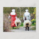 Suche nach kleidung postkarten Schafe