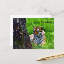 Suche nach sibirischer tiger karten Für alle