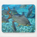 Suche nach lebensraum mousepads Umwelt