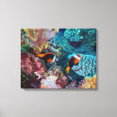 Suche nach bunte fische leinwandbilder Ozean