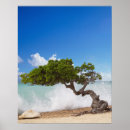 Suche nach aruba poster Reisen