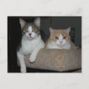 Suche nach verständnis postkarten Spaß