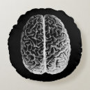 Suche nach gehirn kissen Anatomie