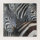 Suche nach zebrastreifen puzzle Tier