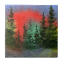 Suche nach nordlichter fliesen Natur