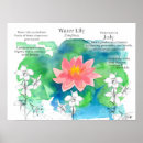 Suche nach wasserlilien poster Jede person