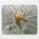 Suche nach löwenzahn mousepads Pflanze