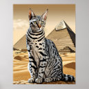 Suche nach ägyptische katze poster Katzen