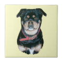 Suche nach niedlicher mops fliesen Niedliche hunde