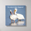 Suche nach weißer vogel leinwandbilder Natur