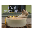 Suche nach hunde baby poster Hundefreund