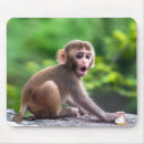 Suche nach niedliche affen mousepads Baby