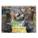 Suche nach wild lebende tiere kalender Jäger