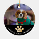 Suche nach hundeschlitten ornamente Haustiere