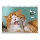 Suche nach lustige katze kalender Haustier