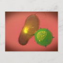 Suche nach immunologie postkarten Biomedizinische illustrationen