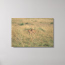 Suche nach tierfamilie leinwandbilder Im freien