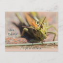 Suche nach med postkarten Jede person