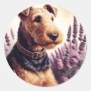 Suche nach airedale terrier aufkleber Welpe