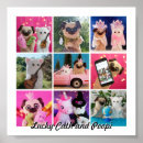 Suche nach simple elegant poster Für alle