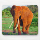 Suche nach stoßzahn mousepads Elefanten