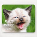 Suche nach lustiges katze mousepads Humorvoll