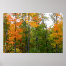 Suche nach fallendes blatt poster Landschaft