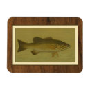 Suche nach magnete Rahmen