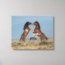 Suche nach wildes pferd leinwandbilder Wildpferd