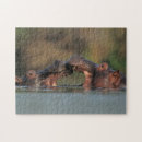 Suche nach hippopotamus puzzle Tier