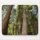 Suche nach riesen mousepads Tier