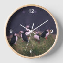 Suche nach puffer wanduhren Puffin