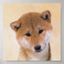 Suche nach shiba poster Welpe