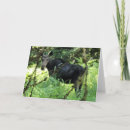 Suche nach moose karten Wald