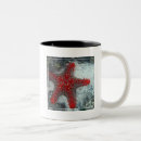 Suche nach korallenriff tassen Nautisch