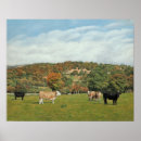 Suche nach rinder poster Landschaft