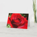 Suche nach helle rote rose karten Für alle